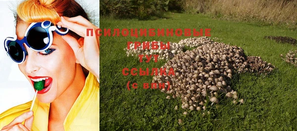 круглые Алзамай